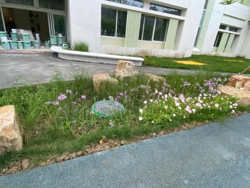 海綿城市：貫徹“景觀+海綿”理念！來看融合自然生態美學的“高顏值”海綿景觀》