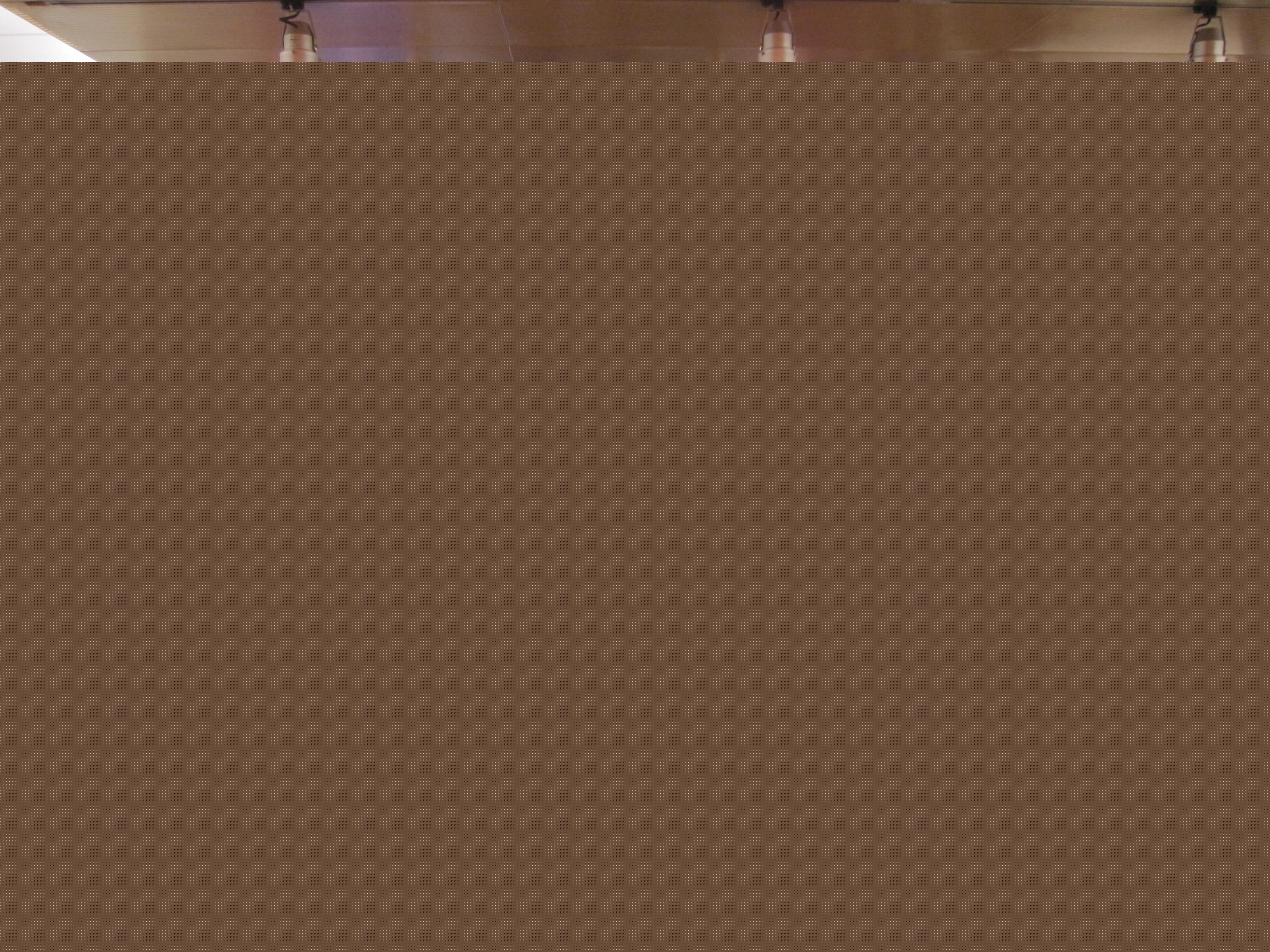 “建筑保溫隔熱關鍵技術選用與經典案例分享” 沙龍記實