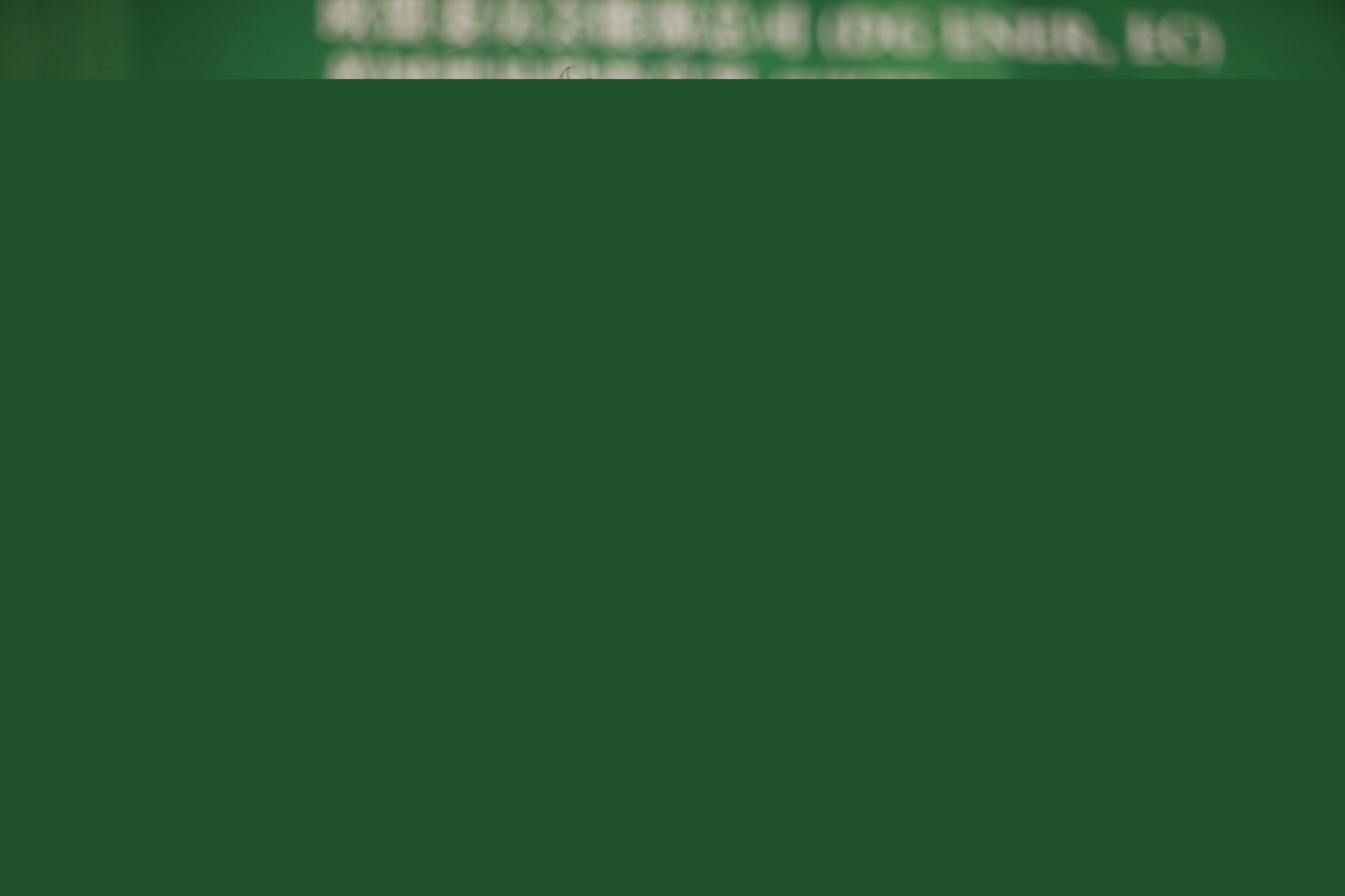 第十屆國際綠色建筑大會開幕式精彩紛呈
