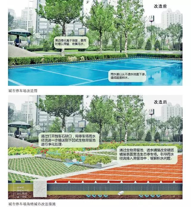 24種海綿城市設計措施全圖解