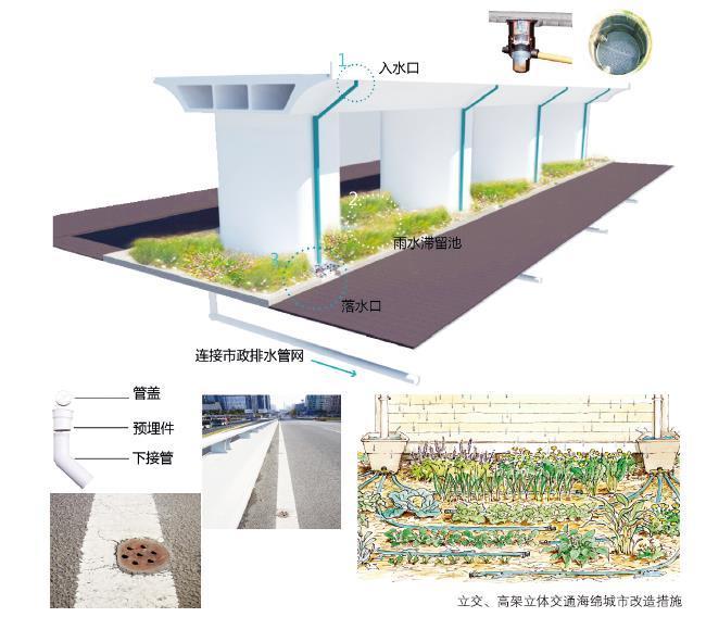 24種海綿城市設計措施全圖解