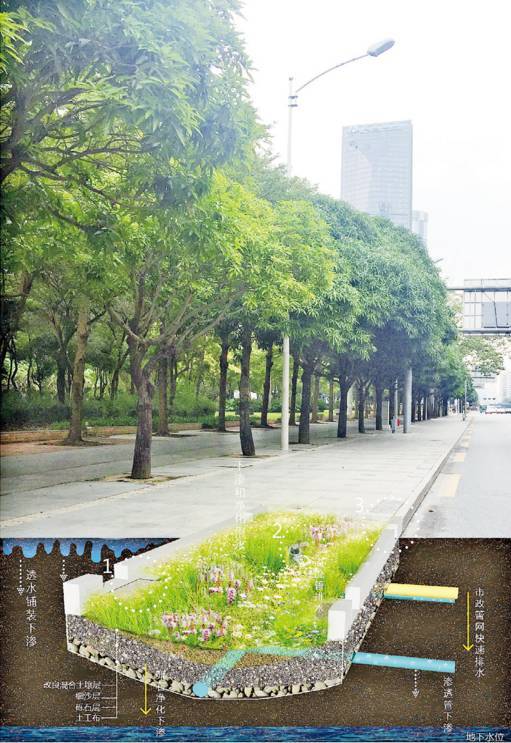 24種海綿城市設計措施全圖解