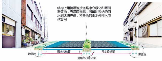 24種海綿城市設計措施全圖解