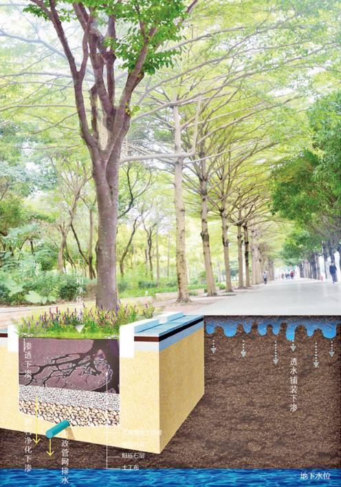 24種海綿城市設計措施全圖解