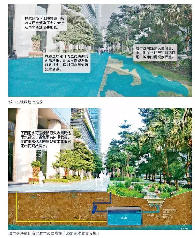 24種海綿城市設計措施全圖解