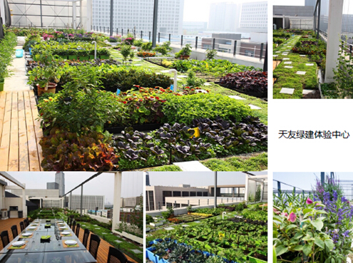 【綠建講堂】天友對綠建與綠星的推廣思考（10月30日綠建之窗微信群第二期講座）