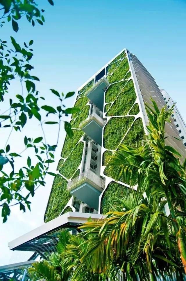 “綠色建筑”是什么?未來城市什么樣?