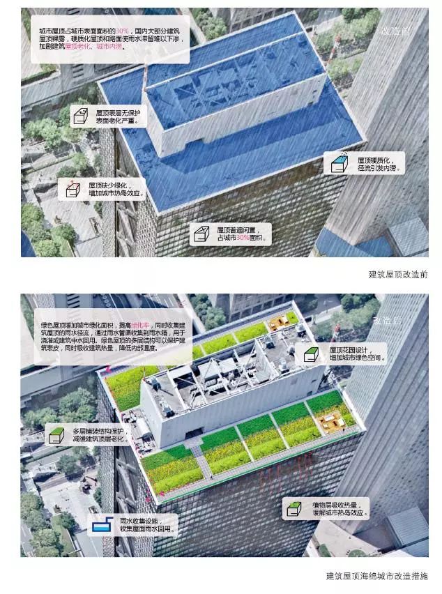海綿城市建設：屋頂綠化解決方案