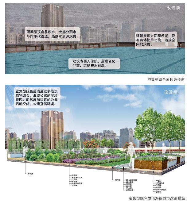 海綿城市建設：屋頂綠化解決方案